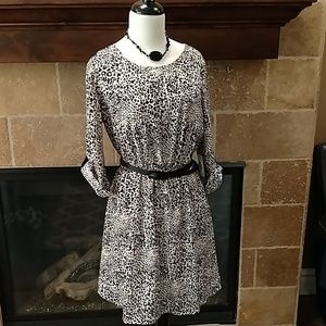 Animal print dress, Charming Charlie's, size M